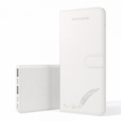 Notebook stripping mobile power bank